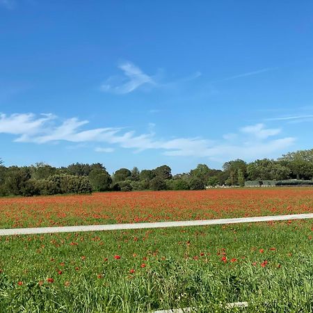 Le Gite Des Poiriers Uzès Extérieur photo