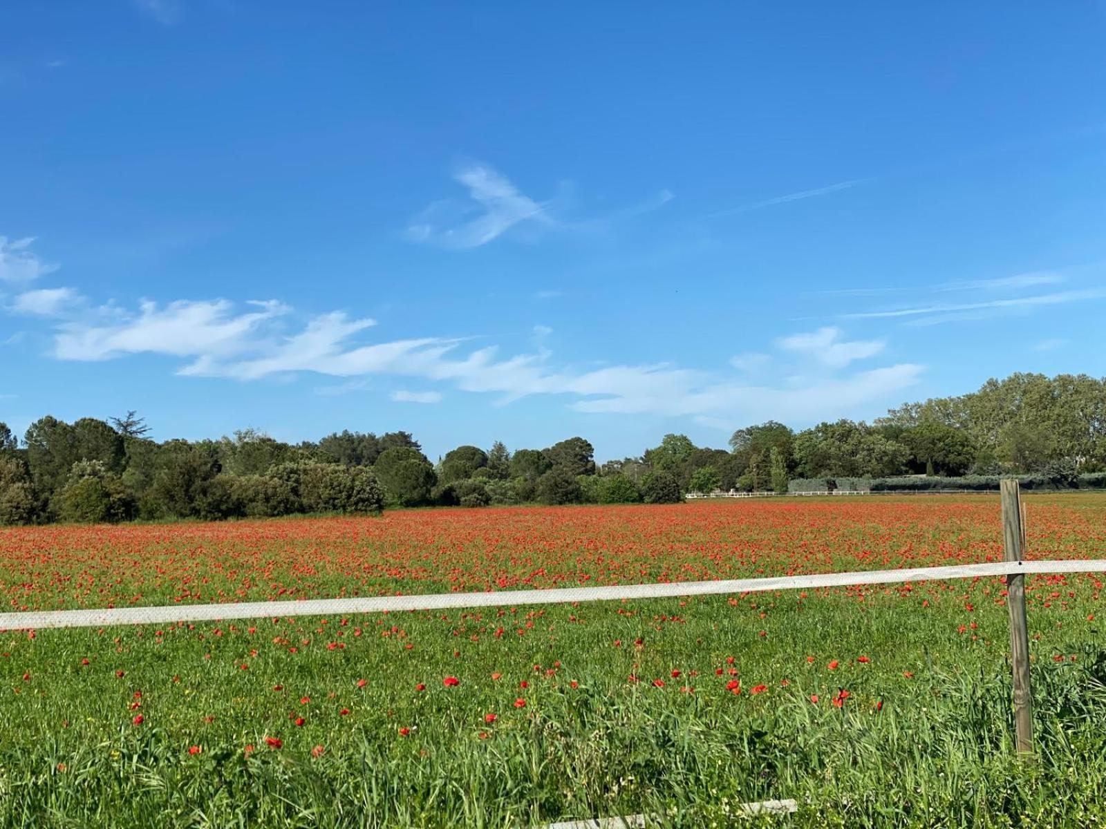 Le Gite Des Poiriers Uzès Extérieur photo